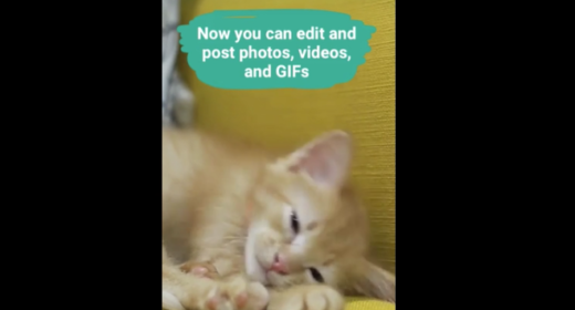 Actualizado: WhatsApp se empieza a actualizar con soporte a las Historias